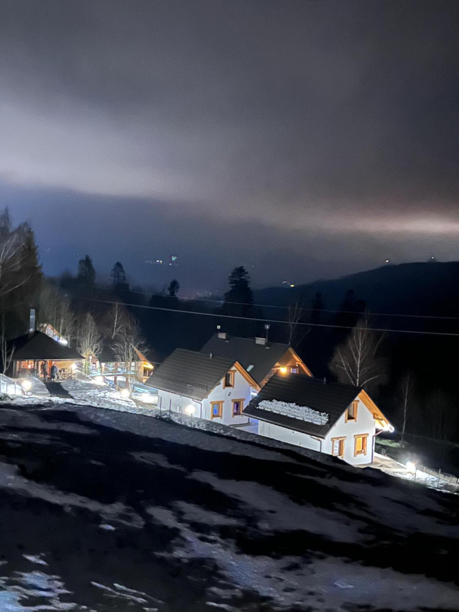 Domki - Zajazd Zielenska Polana Weichsel Exterior foto