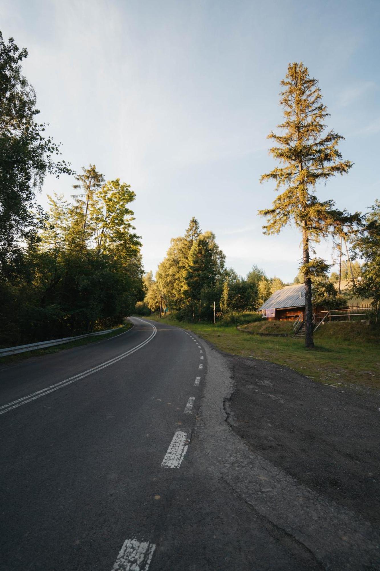 Domki - Zajazd Zielenska Polana Weichsel Exterior foto