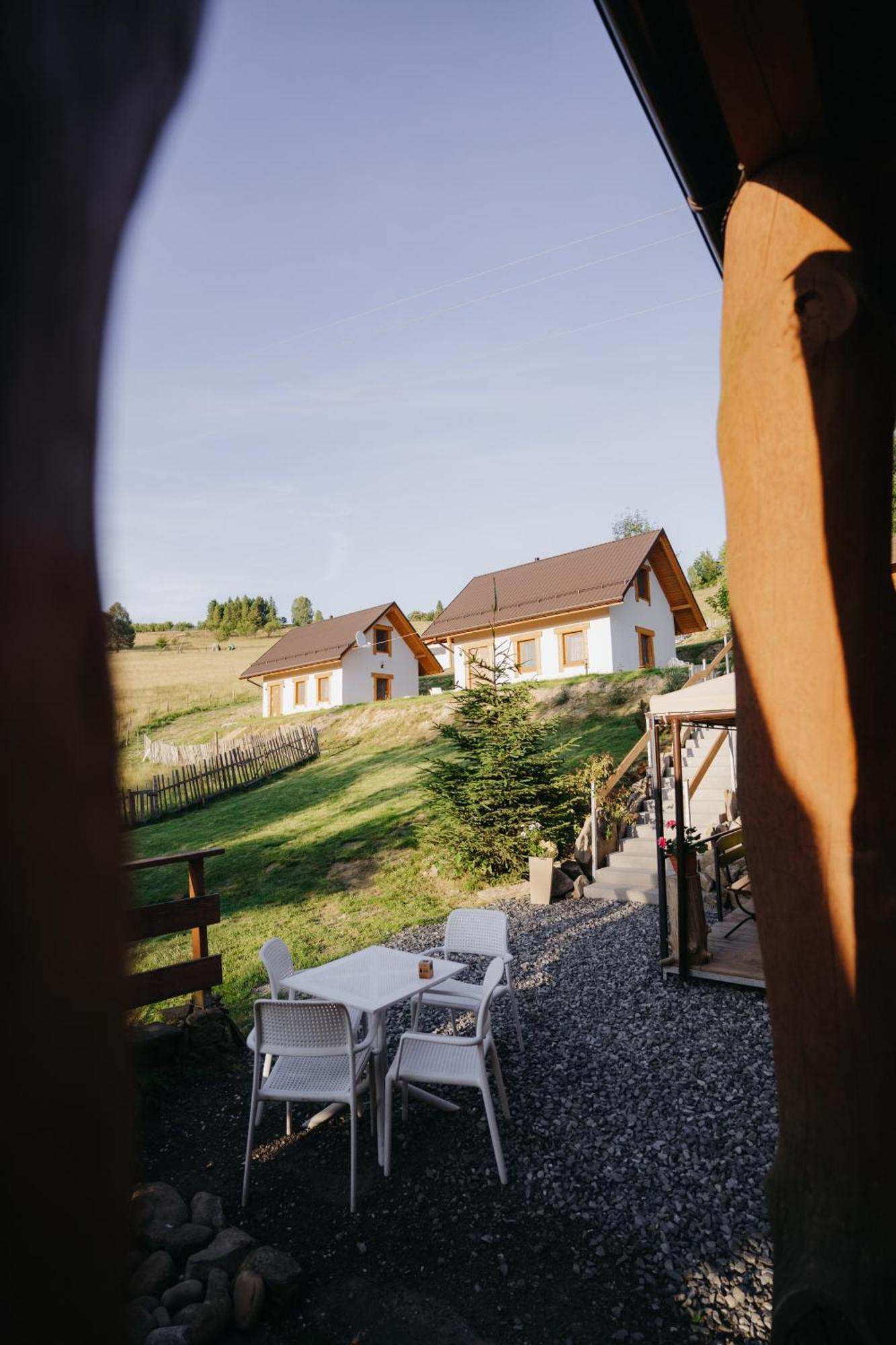 Domki - Zajazd Zielenska Polana Weichsel Exterior foto