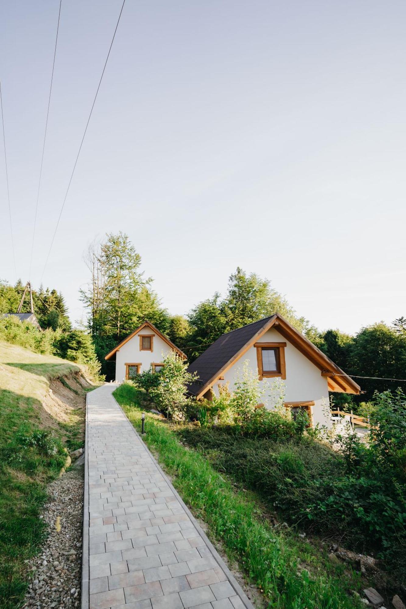 Domki - Zajazd Zielenska Polana Weichsel Exterior foto